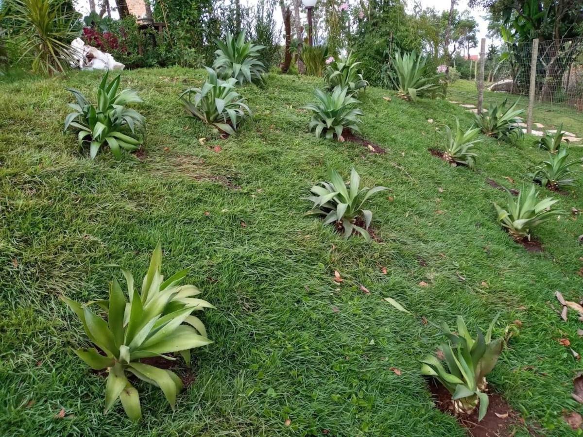 Macondo Chales 拉夫拉斯诺瓦斯 外观 照片